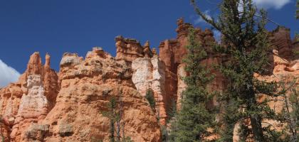 Bryce Canyon - June 6th, 2022